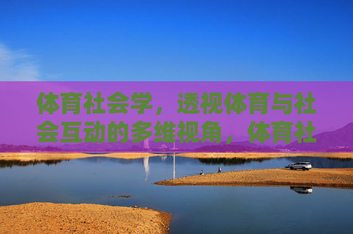 体育社会学，透视体育与社会互动的多维视角，体育社会学，体育与社会互动的多维透视
