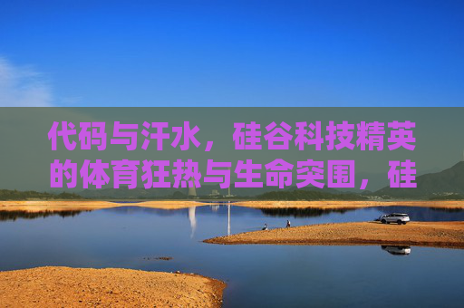 代码与汗水,硅谷科技精英的体育狂热与生命突围,硅谷科技精英,体育狂热中的代码与生命突围 代码与汗水,硅谷科技精英的体育狂热与生命突围,硅谷科技精英,体育狂热中的代码与生命突围