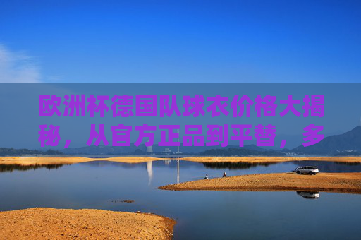 欧洲杯德国队球衣价格大揭秘，从官方正品到平替，多少钱能拥有日耳曼战车战袍？欧洲杯德国队球衣价格，官方正品到平替，多少钱能拥有日耳曼战袍？