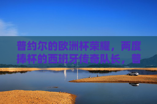 普约尔的欧洲杯荣耀，两度捧杯的西班牙传奇队长，普约尔，两度捧杯的西班牙欧洲杯传奇队长