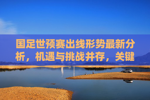 国足世预赛出线形势最新分析，机遇与挑战并存，关键战役定生死，国足世预赛出线形势，机遇挑战并存，关键战役定生死