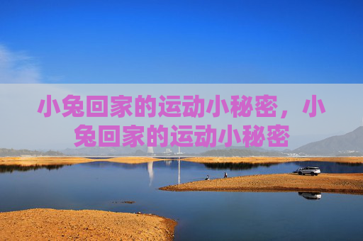 小兔回家的运动小秘密,小兔回家的运动小秘密 小兔回家的运动小秘密,小兔回家的运动小秘密