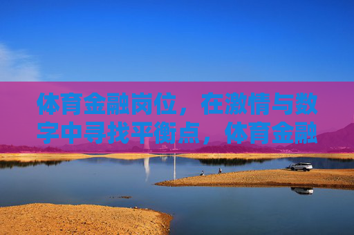 体育金融岗位，在激情与数字中寻找平衡点，体育金融岗位，激情与数字的平衡之道