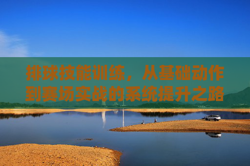 排球技能训练，从基础动作到赛场实战的系统提升之路，排球技能系统提升，从基础动作到赛场实战的进阶之路
