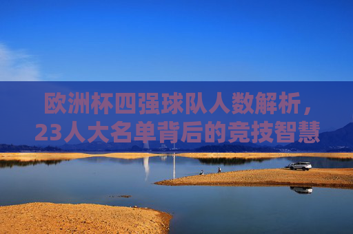 欧洲杯四强球队人数解析，23人大名单背后的竞技智慧，欧洲杯四强，23人名单背后的竞技智慧