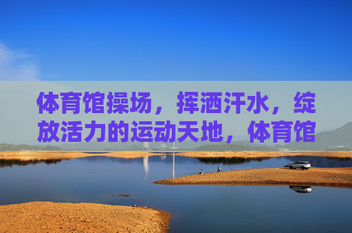 体育馆操场，挥洒汗水，绽放活力的运动天地，体育馆操场，挥洒汗水绽放活力的运动天地