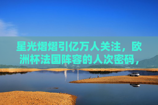 星光熠熠引亿万人关注，欧洲杯法国阵容的人次密码，欧洲杯法国阵容，星光熠熠的人次密码