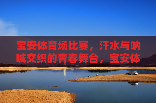 宝安体育场比赛，汗水与呐喊交织的青春舞台，宝安体育场，汗水呐喊交织的青春舞台