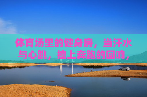 体育场里的健身房，当汗水与心跳，撞上奔跑的回响，体育场健身房，汗水心跳撞奔跑回响