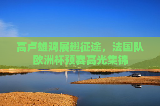 高卢雄鸡展翅征途，法国队欧洲杯预赛高光集锦