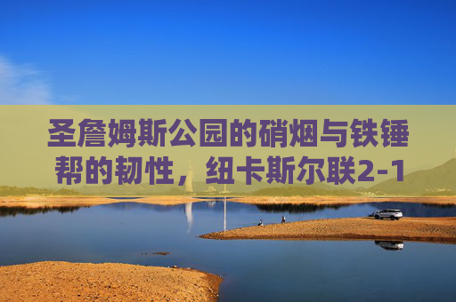 圣詹姆斯公园的硝烟与铁锤帮的韧性，纽卡斯尔联2-1险胜西汉姆联，英超争四关键战，圣詹姆斯公园硝烟弥漫，纽卡2-1险胜铁锤帮，英超争四关键战告捷