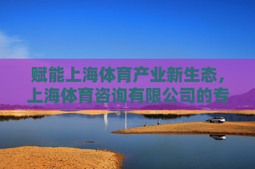 赋能上海体育产业新生态，上海体育咨询有限公司的专业之路，上海体育咨询有限公司，赋能上海体育产业新生态的专业之路