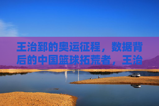 王治郅的奥运征程,数据背后的中国篮球拓荒者,王治郅,中国篮球奥运拓荒者的征程 王治郅的奥运征程,数据背后的中国篮球拓荒者,王治郅,中国篮球奥运拓荒者的征程