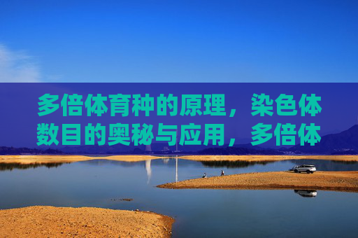 多倍体育种的原理,染色体数目的奥秘与应用,多倍体育种,染色体数目原理与奥秘应用 多倍体育种的原理,染色体数目的奥秘与应用,多倍体育种,染色体数目原理与奥秘应用