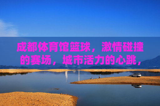 成都体育馆篮球,激情碰撞的赛场,城市活力的心跳,成都体育馆篮球,激情碰撞的城市心跳 成都体育馆篮球,激情碰撞的赛场,城市活力的心跳,成都体育馆篮球,激情碰撞的城市心跳