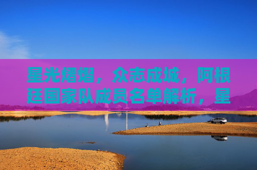 星光熠熠，众志成城，阿根廷国家队成员名单解析，星光熠熠，众志成城，阿根廷国家队成员名单解析