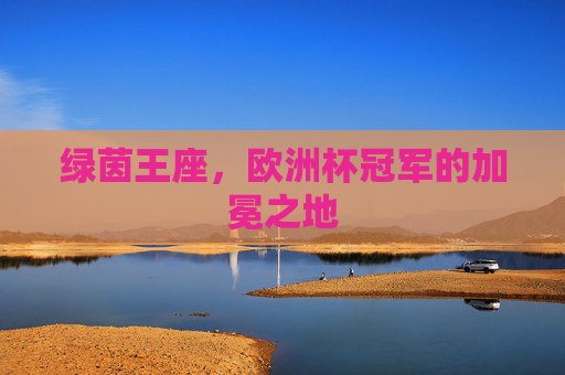 绿茵王座，欧洲杯冠军的加冕之地