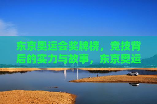 东京奥运会奖牌榜，竞技背后的实力与故事，东京奥运奖牌榜，实力为骨，故事为魂