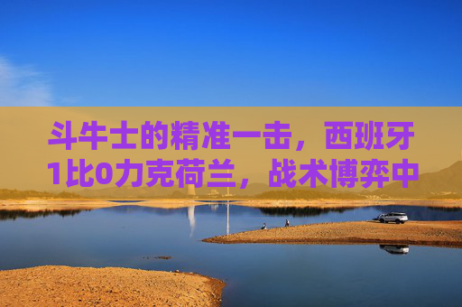 斗牛士的精准一击，西班牙1比0力克荷兰，战术博弈中的胜利，斗牛士精准一击制胜，西班牙1-0力克荷兰