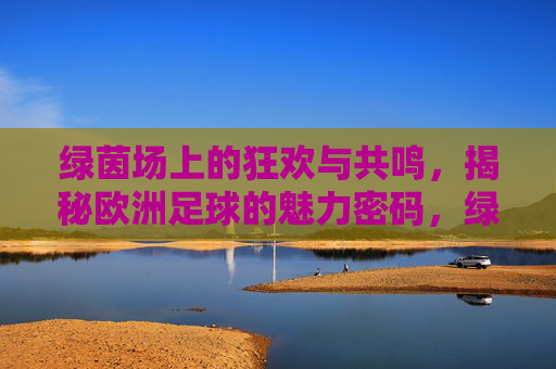 绿茵场上的狂欢与共鸣，揭秘欧洲足球的魅力密码，绿茵狂欢，欧洲足球的魅力密码
