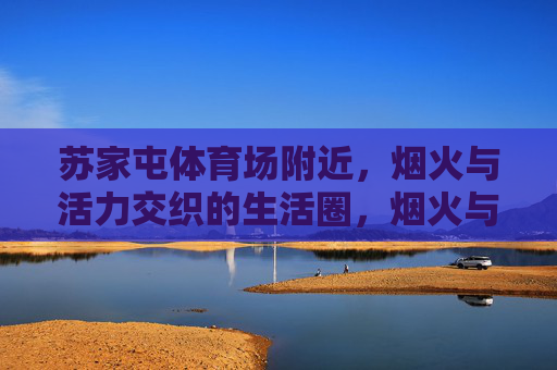 苏家屯体育场附近，烟火与活力交织的生活圈，烟火与活力交织的苏家屯体育场生活圈