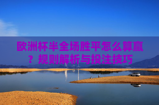 欧洲杯半全场胜平怎么算赢？规则解析与投注技巧