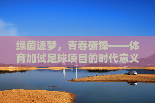 绿茵逐梦，青春砺锋——体育加试足球项目的时代意义与成长启示，绿茵逐梦，青春砺锋——体育加试足球的时代意义与成长启示