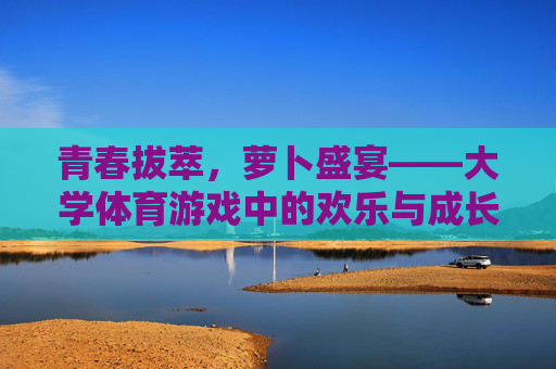 青春拔萃，萝卜盛宴——大学体育游戏中的欢乐与成长，青春乐动，体育游戏中的欢乐拔萃与成长