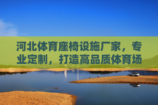 河北体育座椅设施厂家，专业定制，打造高品质体育场馆座椅解决方案，河北专业定制体育座椅厂家 高品质体育场馆座椅解决方案