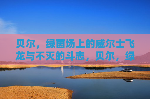 贝尔,绿茵场上的威尔士飞龙与不灭的斗志,贝尔,绿茵飞龙,斗志不灭 贝尔,绿茵场上的威尔士飞龙与不灭的斗志,贝尔,绿茵飞龙,斗志不灭