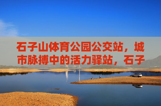 石子山体育公园公交站，城市脉搏中的活力驿站，石子山体育公园公交站，城市脉搏的活力驿站