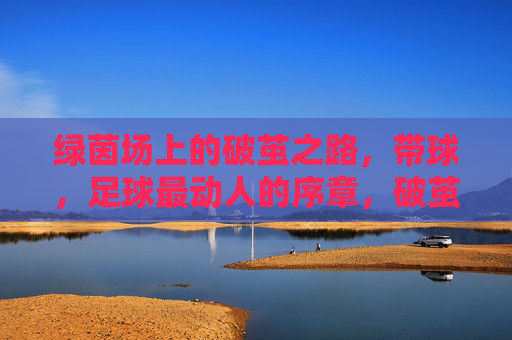 绿茵场上的破茧之路,带球,足球最动人的序章,破茧带球,绿茵足球的动人序章 绿茵场上的破茧之路,带球,足球最动人的序章,破茧带球,绿茵足球的动人序章