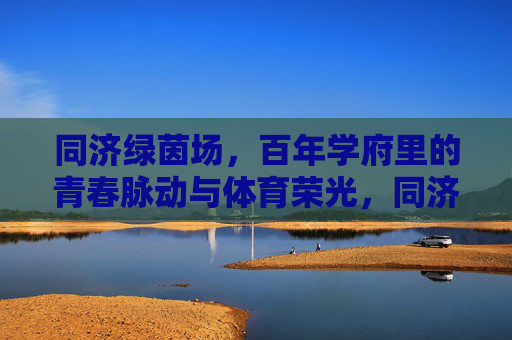 同济绿茵场，百年学府里的青春脉动与体育荣光，同济绿茵场，百年学府的青春脉动与体育荣光