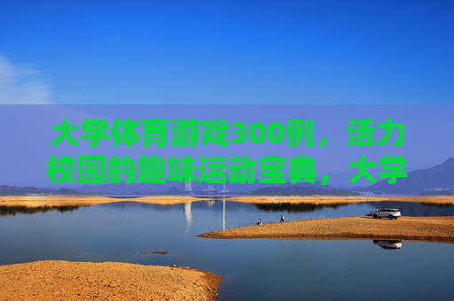 大学体育游戏300例，活力校园的趣味运动宝典，大学体育游戏300例，活力校园趣味运动宝典