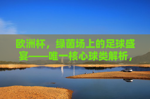 欧洲杯，绿茵场上的足球盛宴——唯一核心球类解析，欧洲杯，绿茵场足球盛宴的核心解析