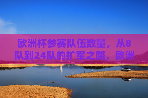 欧洲杯参赛队伍数量，从8队到24队的扩军之路，欧洲杯参赛队伍扩军之路，从8队到24队