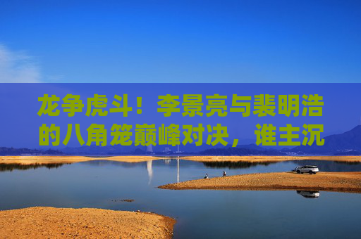 龙争虎斗!李景亮与裴明浩的八角笼巅峰对决,谁主沉浮?李景亮裴明浩八角笼龙争虎斗巅峰对决 龙争虎斗!李景亮与裴明浩的八角笼巅峰对决,谁主沉浮?李景亮裴明浩八角笼龙争虎斗巅峰对决