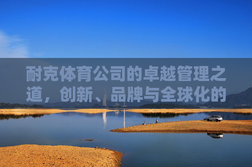耐克体育公司的卓越管理之道,创新、品牌与全球化的协同驱动,耐克体育公司的卓越管理,创新、品牌与全球化的协同驱动 耐克体育公司的卓越管理之道,创新、品牌与全球化的协同驱动,耐克体育公司的卓越管理,创新、品牌与全球化的协同驱动