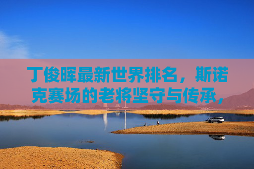 丁俊晖最新世界排名，斯诺克赛场的老将坚守与传承，丁俊晖最新世界排名，斯诺克老将的坚守与传承