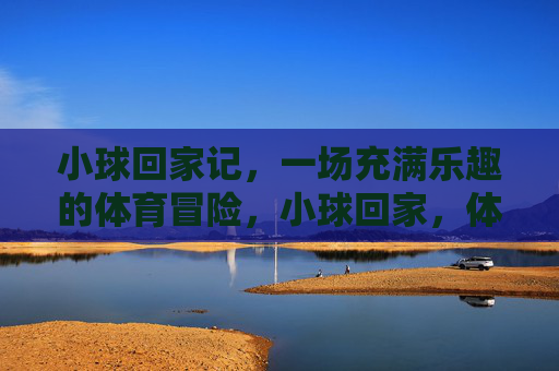 小球回家记，一场充满乐趣的体育冒险，小球回家，体育冒险乐趣