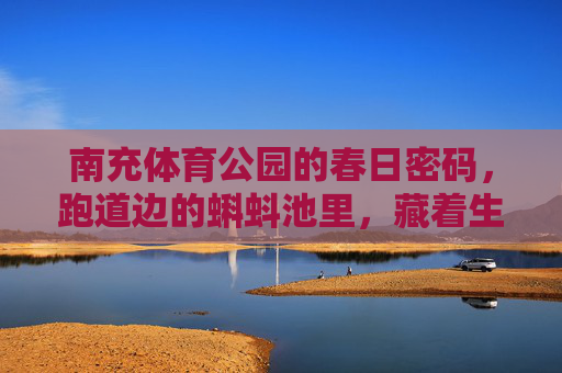 南充体育公园的春日密码,跑道边的蝌蚪池里,藏着生命的童诗,春日蝌蚪池,南充体育公园的生命童诗 南充体育公园的春日密码,跑道边的蝌蚪池里,藏着生命的童诗,春日蝌蚪池,南充体育公园的生命童诗