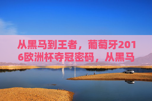 从黑马到王者,葡萄牙2016欧洲杯夺冠密码,从黑马到王者,葡萄牙2016欧洲杯夺冠密码 从黑马到王者,葡萄牙2016欧洲杯夺冠密码,从黑马到王者,葡萄牙2016欧洲杯夺冠密码