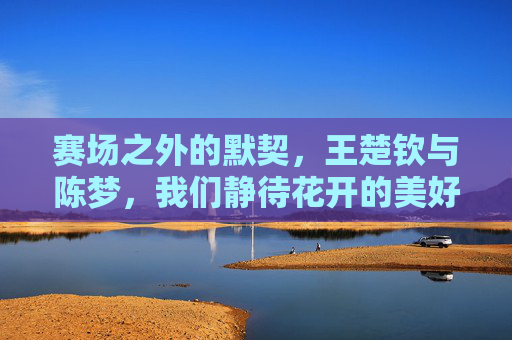 赛场之外的默契，王楚钦与陈梦，我们静待花开的美好期许