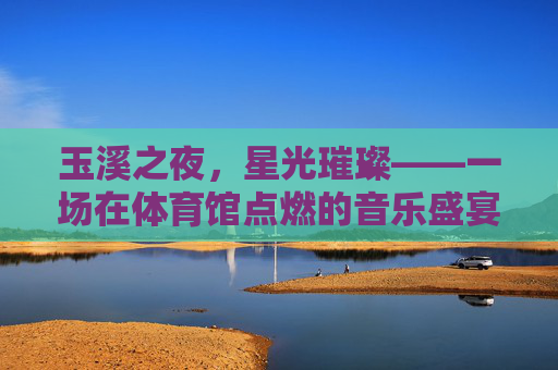 玉溪之夜，星光璀璨——一场在体育馆点燃的音乐盛宴，玉溪星光璀璨音乐盛宴