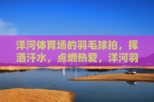 洋河体育场的羽毛球拍，挥洒汗水，点燃热爱，洋河羽球，挥洒汗水，点燃热爱
