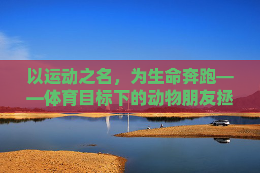 以运动之名,为生命奔跑——体育目标下的动物朋友拯救行动,运动为生命奔跑,拯救动物朋友 以运动之名,为生命奔跑——体育目标下的动物朋友拯救行动,运动为生命奔跑,拯救动物朋友