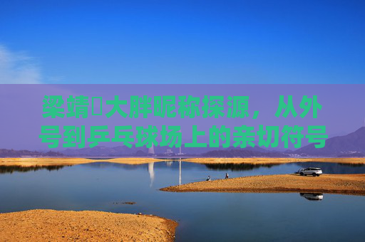 梁靖崑大胖昵称探源,从外号到乒乓球场上的亲切符号 梁靖崑大胖昵称探源,从外号到乒乓球场上的亲切符号