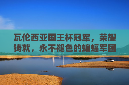 瓦伦西亚国王杯冠军，荣耀铸就，永不褪色的蝙蝠军团传奇，瓦伦西亚国王杯冠军，荣耀铸就的蝙蝠军团传奇