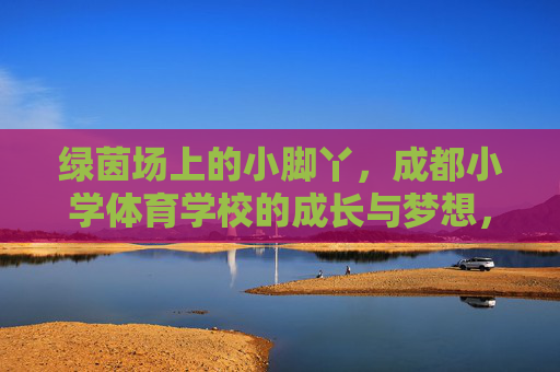 绿茵场上的小脚丫,成都小学体育学校的成长与梦想,绿茵场小脚丫,成都体校成长梦 绿茵场上的小脚丫,成都小学体育学校的成长与梦想,绿茵场小脚丫,成都体校成长梦