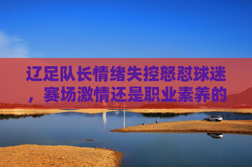 辽足队长情绪失控怒怼球迷，赛场激情还是职业素养的考验？辽足队长怒怼球迷，赛场激情与职业素养的考验？